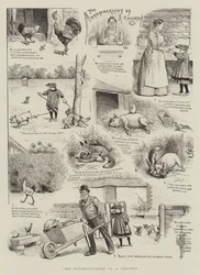 La Autobiografía de un Pollo